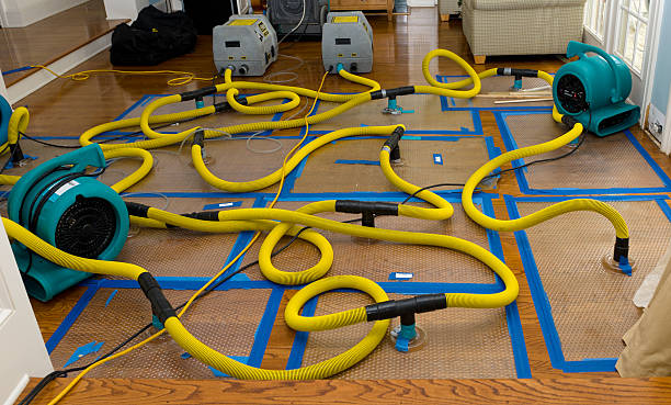 Professional Flood Damage Restoration technician working in Prospect, PA